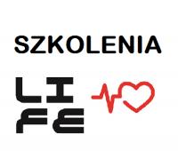 logo firmy